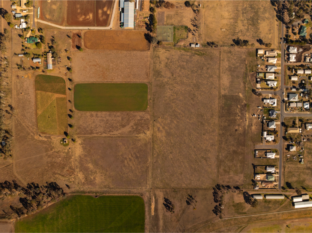 DJI_0446