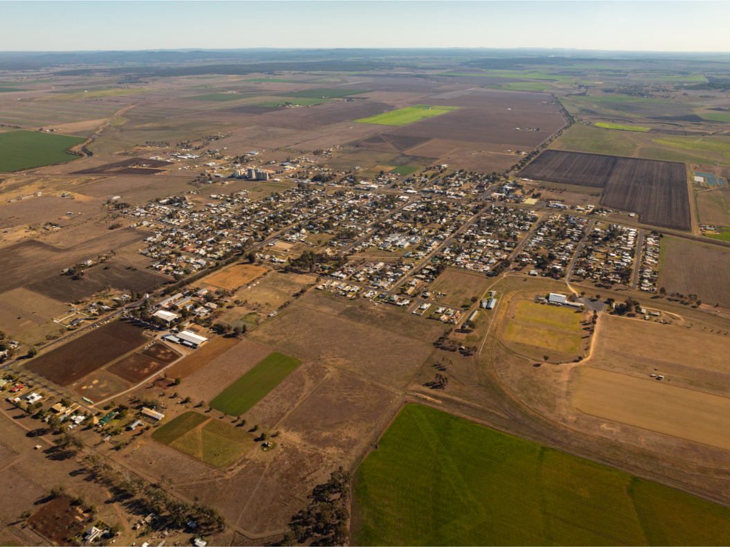 DJI_0449